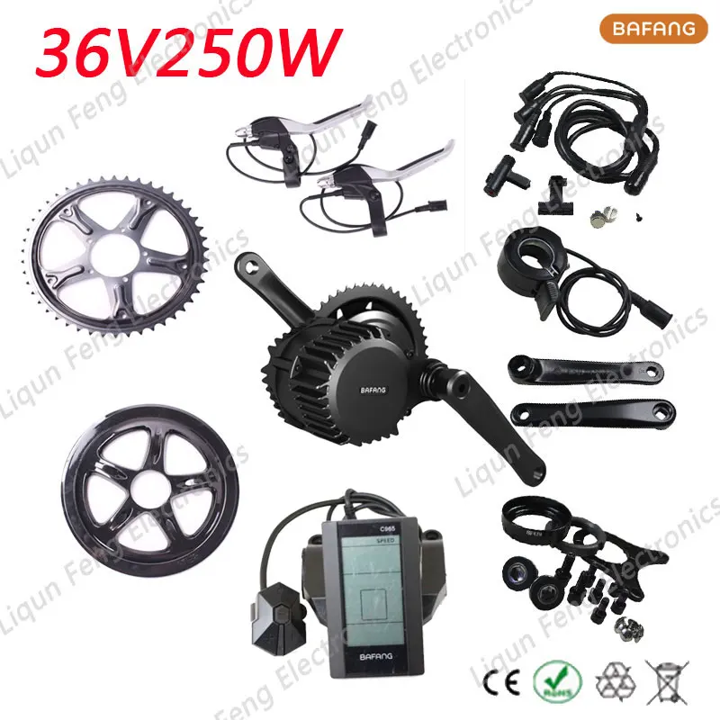 36V250W