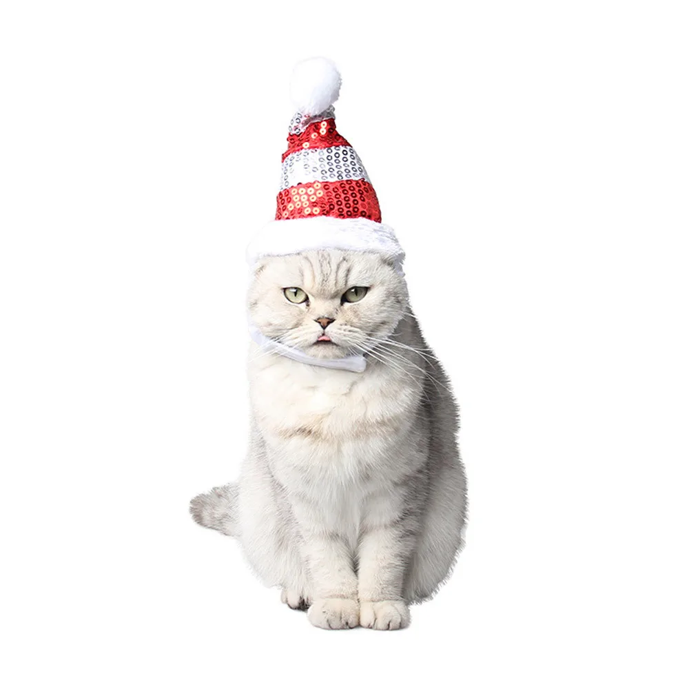 Pet Dog Cat Hat Christmas Decoration Plush Ball Santa Claus Hats