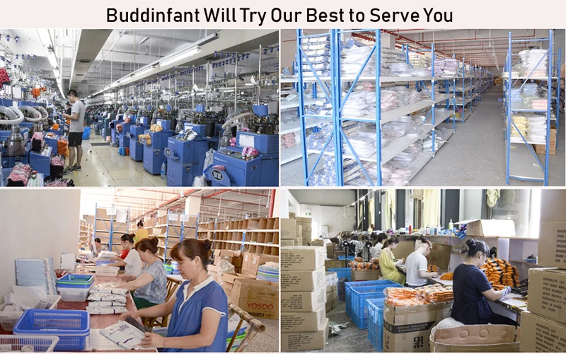 3 About Buddinfant 800