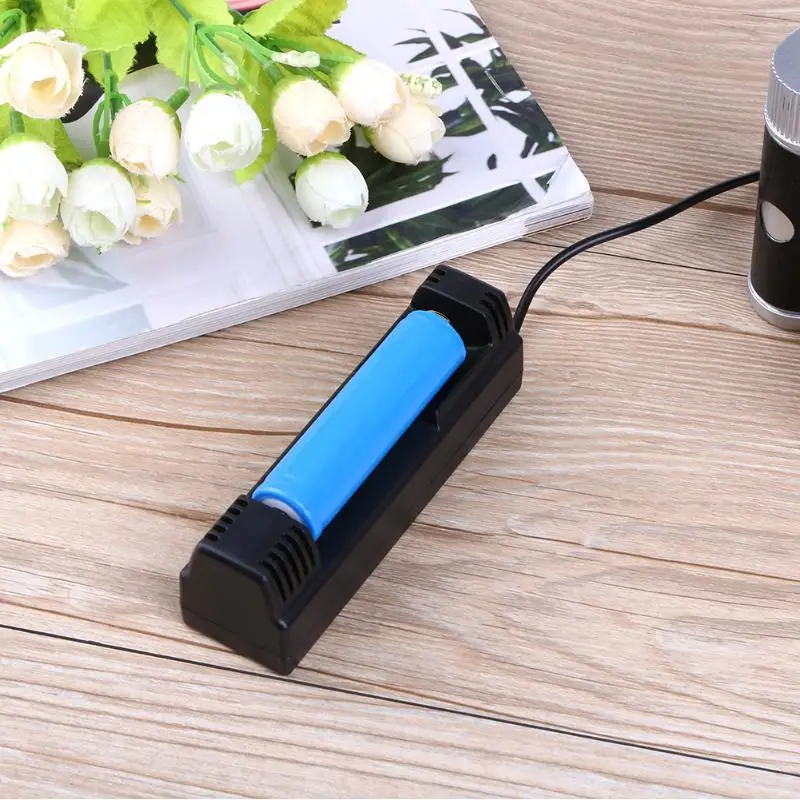 5V 1000mA USB зарядное устройство для 26650 18650 литиевая батарея пластиковая IC Умная