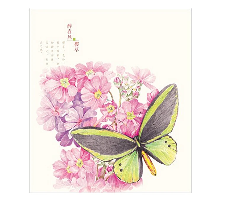 Featured image of post Pencil Butterfly Flower Drawing Colour : From magniscape.com pencil drawing, pencil artwork, pencil sketch, pencil art, graphite pencil drawing, graphite pencil.