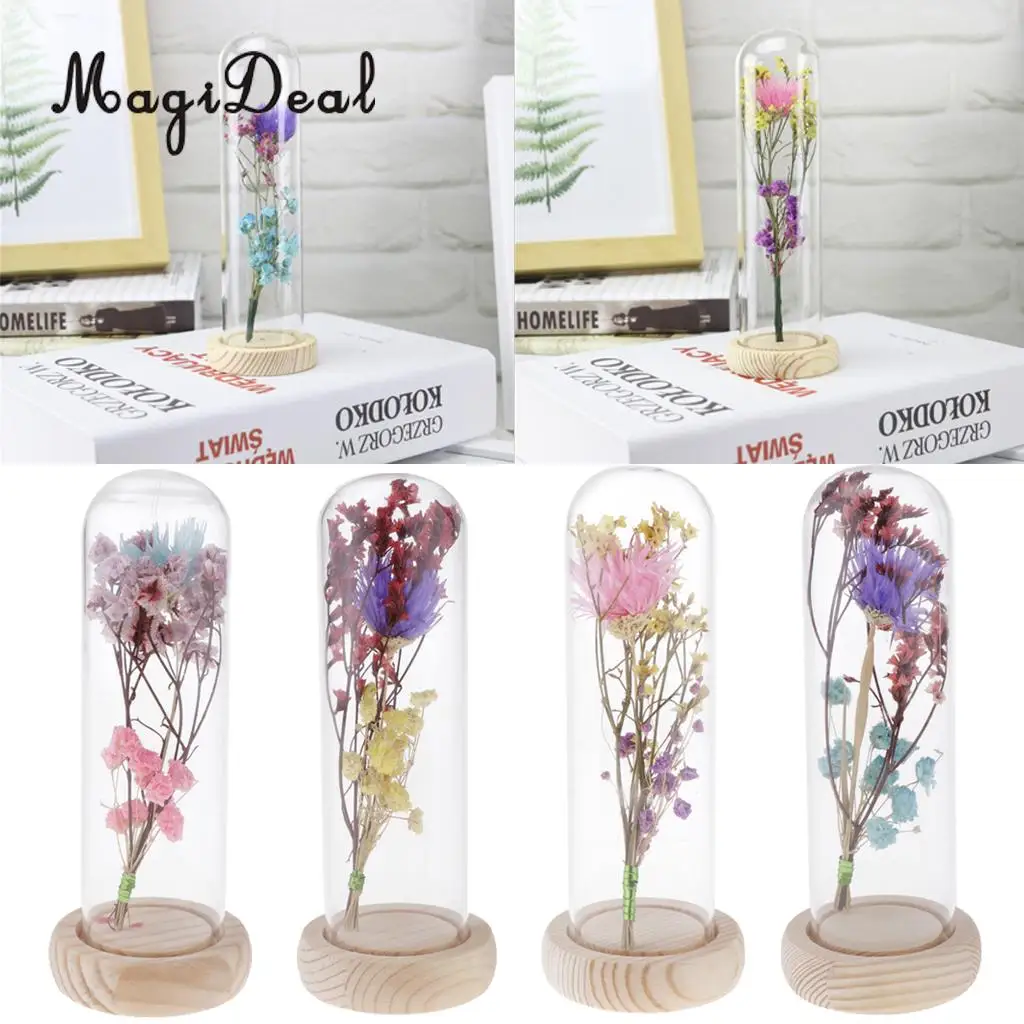 Clear Glass Display Cloche Bell Jar Dried Immortal Flower Preservation Vase Wooden Base Cafe Bar Countertop Decor Ornament