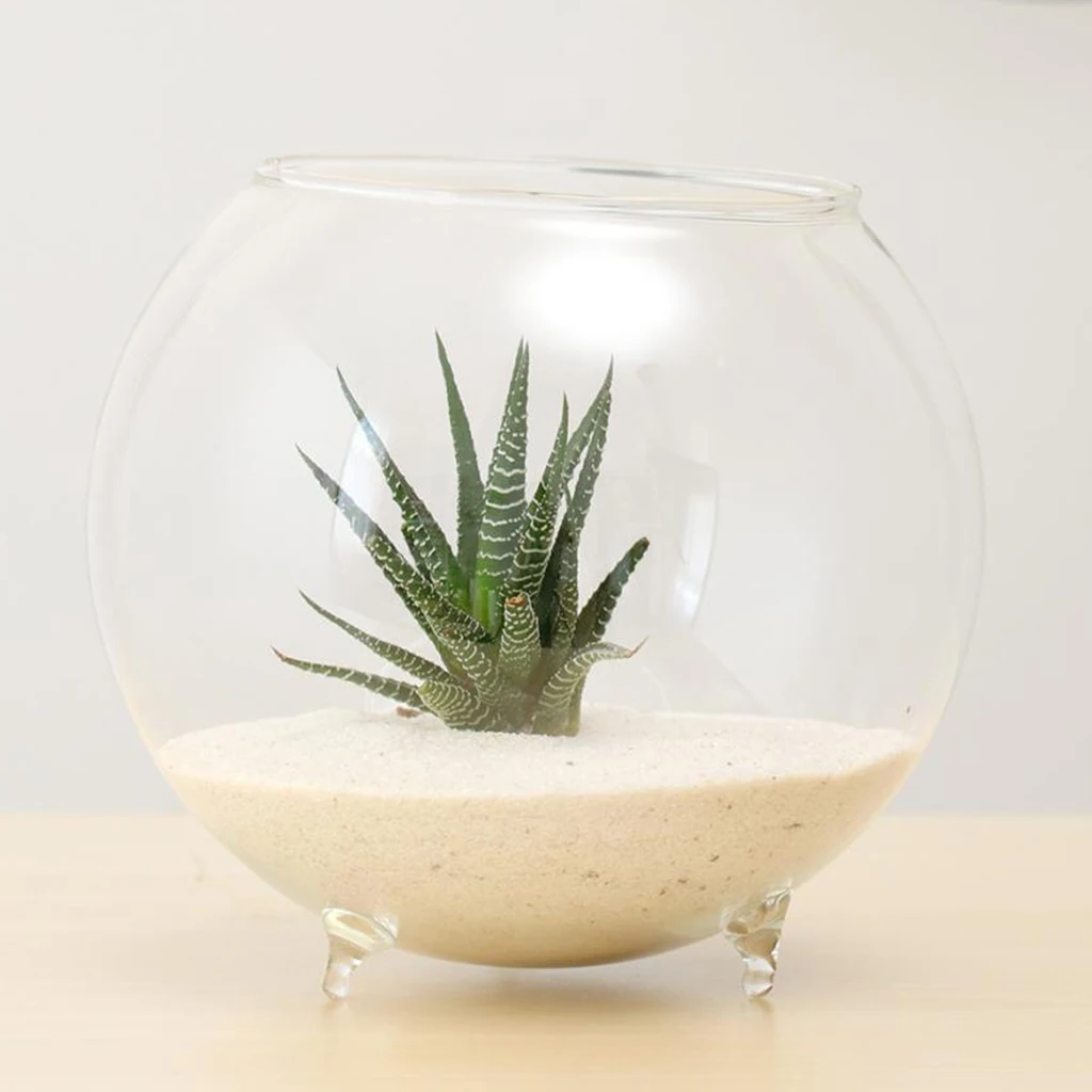 Clear Ball Glass Vase Bottle Terrarium Containers DIY Table Flowers Vase Transparent Wedding Garden Decor Flower Hydroponic Vase