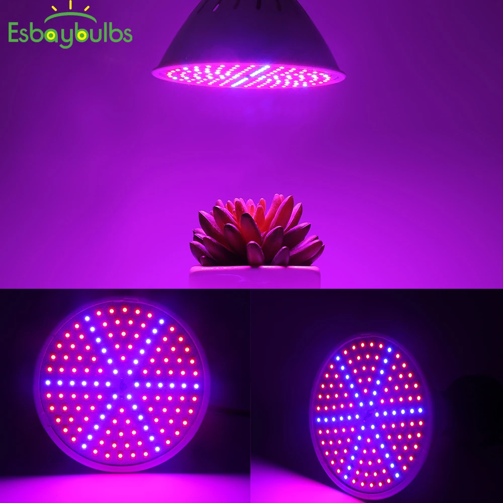 15 Вт Светодиодный светильник для выращивания растений красный/синий светодиодный светильник для выращивания растений лампа для выращивания цветов светильник для выращивания овощей Гидропоника