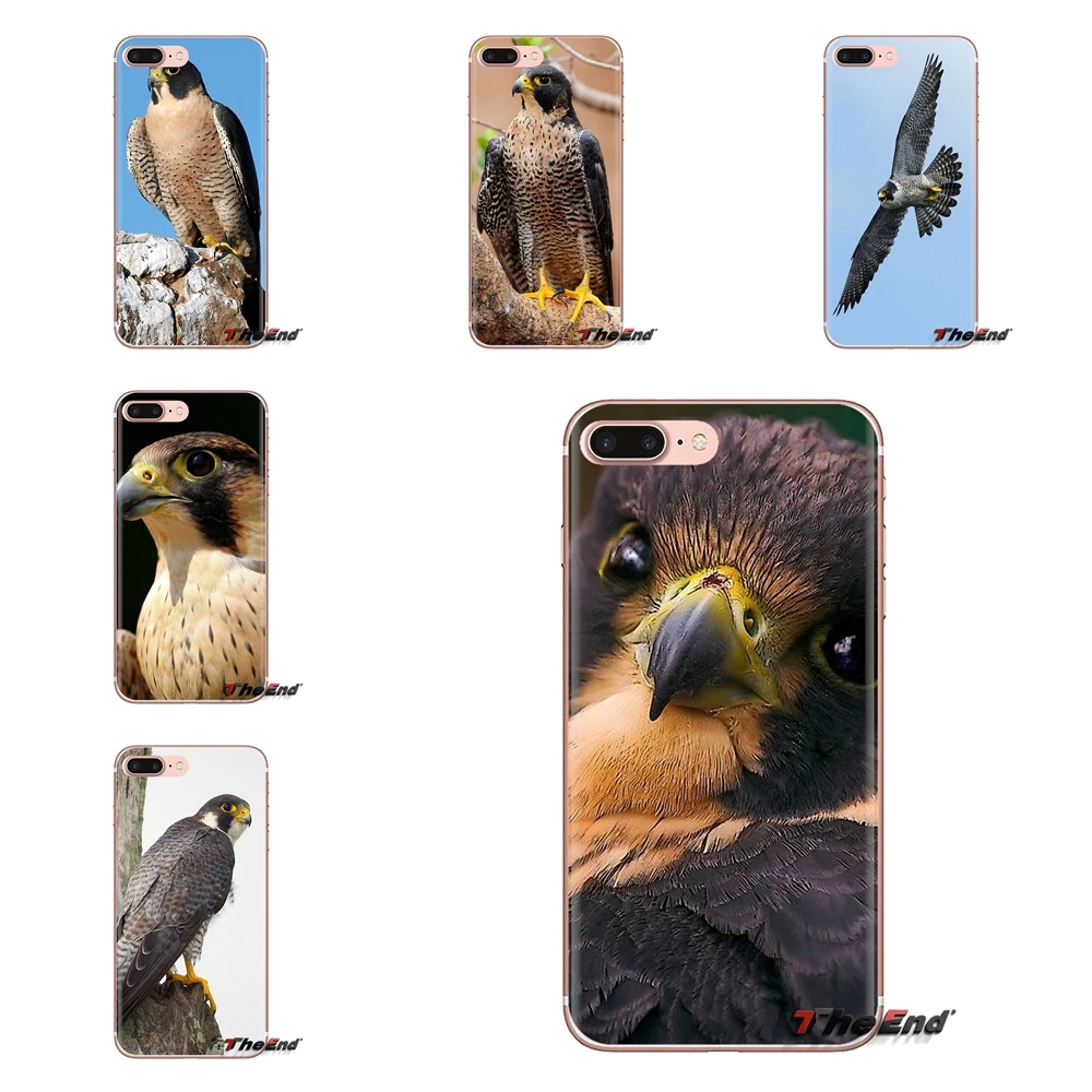 Peregrine Falcon самые быстрые животные птицы для Samsung Galaxy J1 J2 J3 J4 J5 J6 J7 J8 Plus 2018 Prime 2015 2016 2017