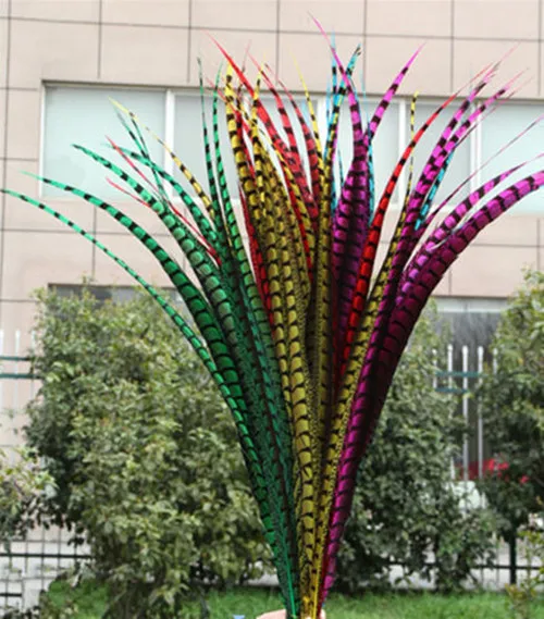 US $218.69 50pcs 3640 inche  90100cm Lady Amherst pheasant feather feather pheasant feathers for the carnival party dress decoration DIY