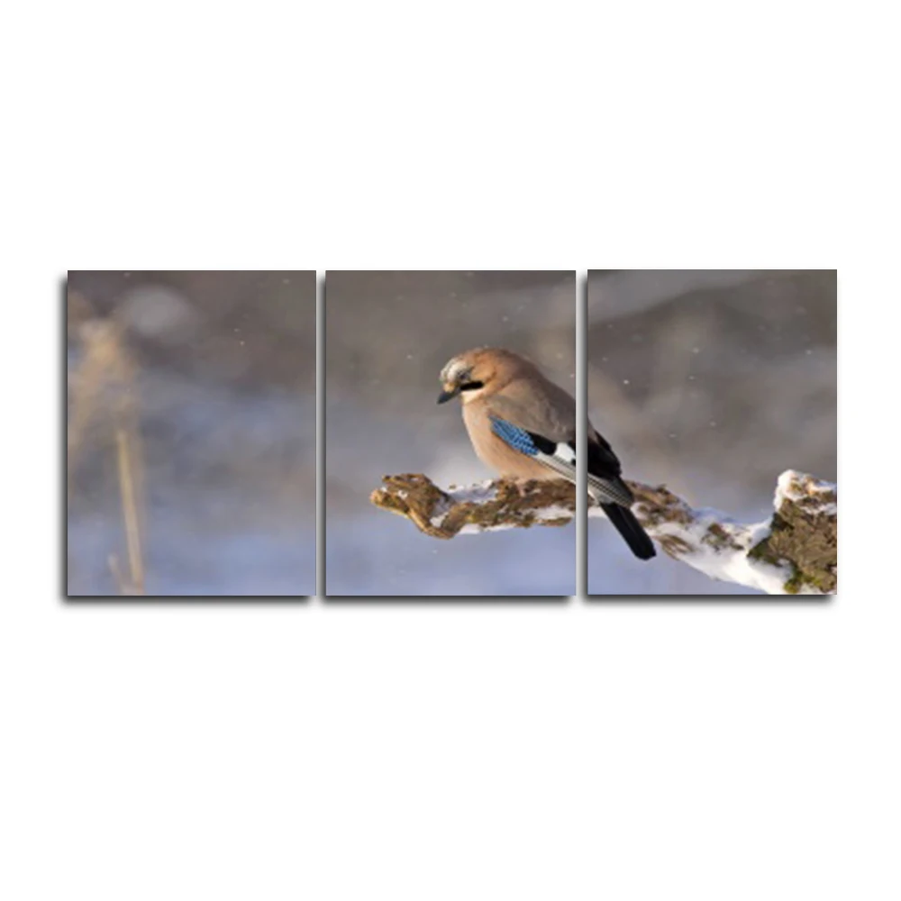 

Laeacco 3 Panel Bird Animal Posters and Prints Abstract HD Canvas Paintings Calligraphy Nordic Wall Art Home Living Room Decor