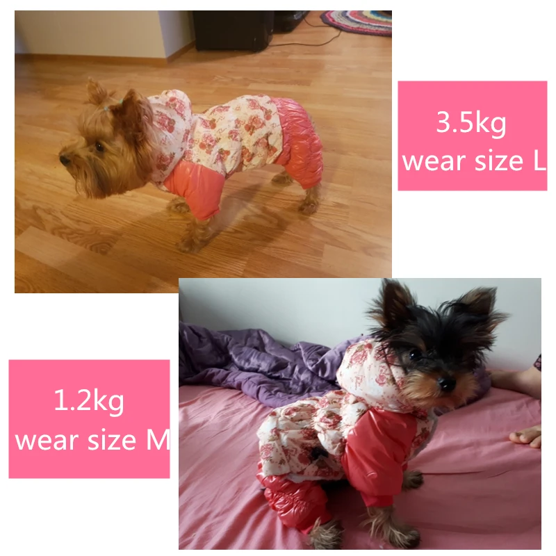 Winter Dog Clothes (2a)_