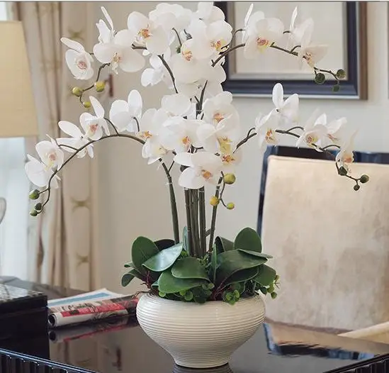 Orchid Phalaenopsis Real Touch Flower With Leaves Artificial Orchids Orchid Phalaenopsis Real Touch Flower With Leaves Artificial Orchids Arrangement Diy Arrange No Vase In Dried Flowers From Home Garden