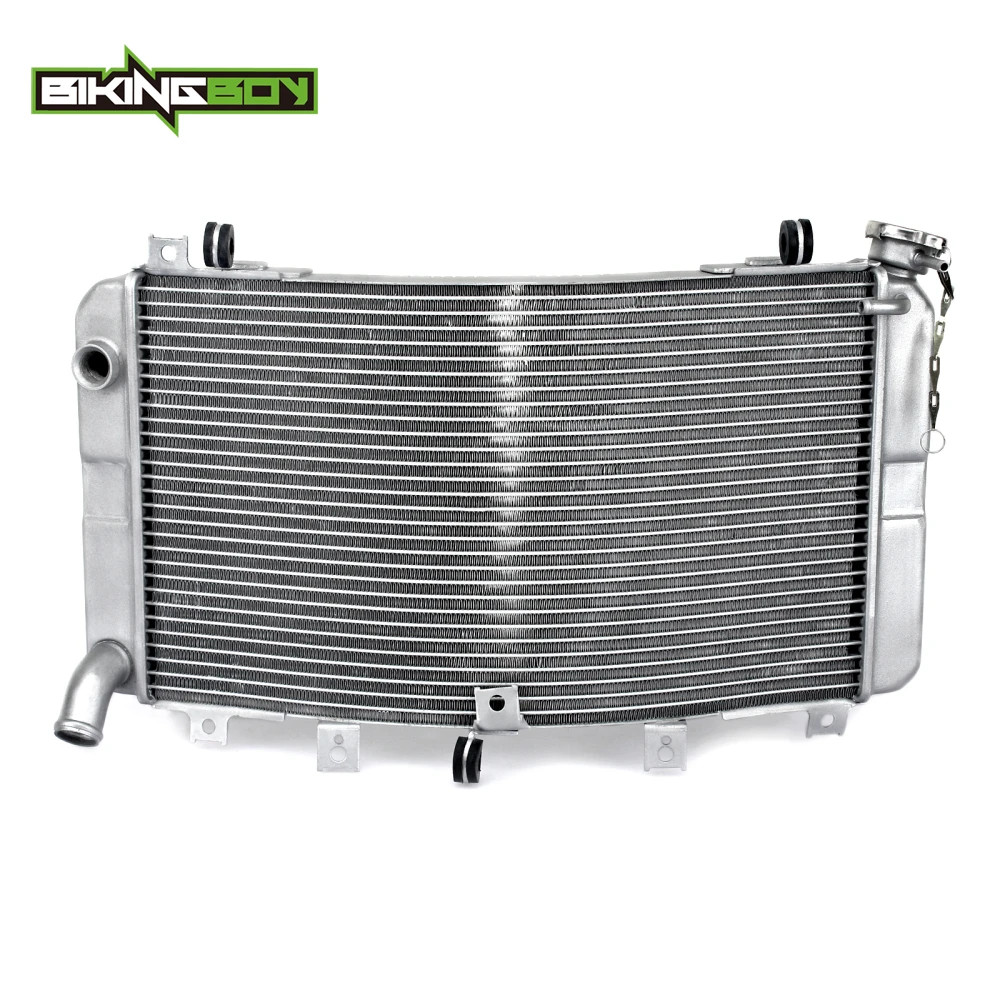 

BIKINGBOY For Suzuki GSX1300R HAYABUSA 99 00 01 02 03 04 05 06 07 08 09 10 11 12 Engine Radiator Water Cooling Cooler Polished