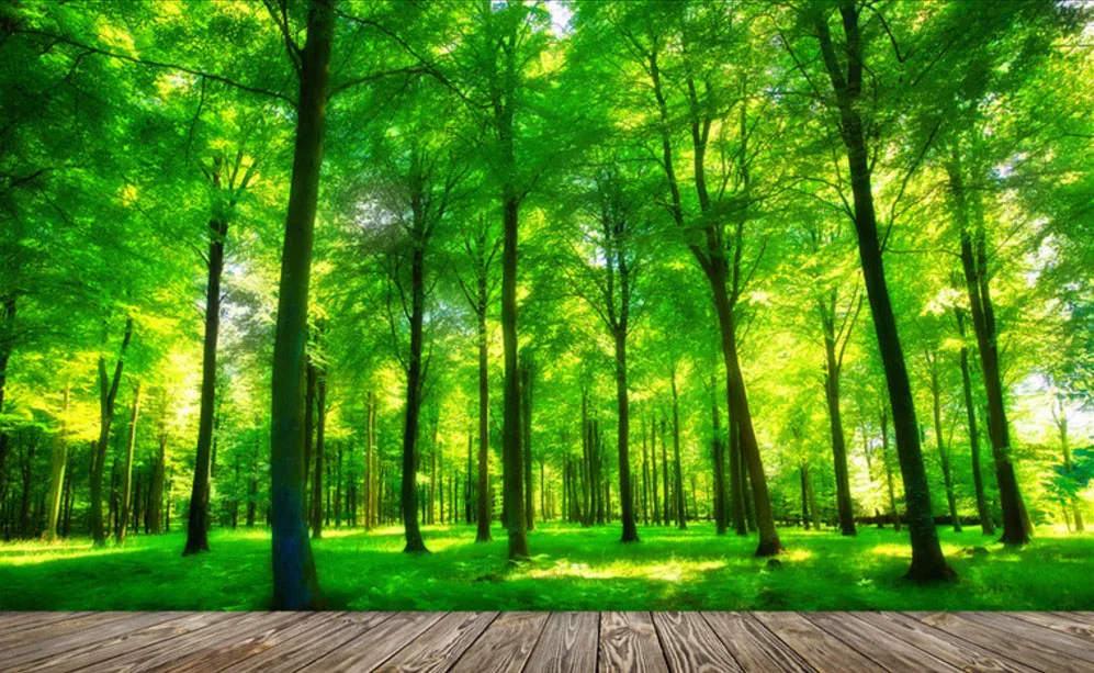 3d effect custom photo wallpaper living room bedroom interior walls background wall mural nature landscape forest wallpaper 3d effect custom photo wallpaper living room bedroom interior walls background wall mural nature landscape forest wallpaper