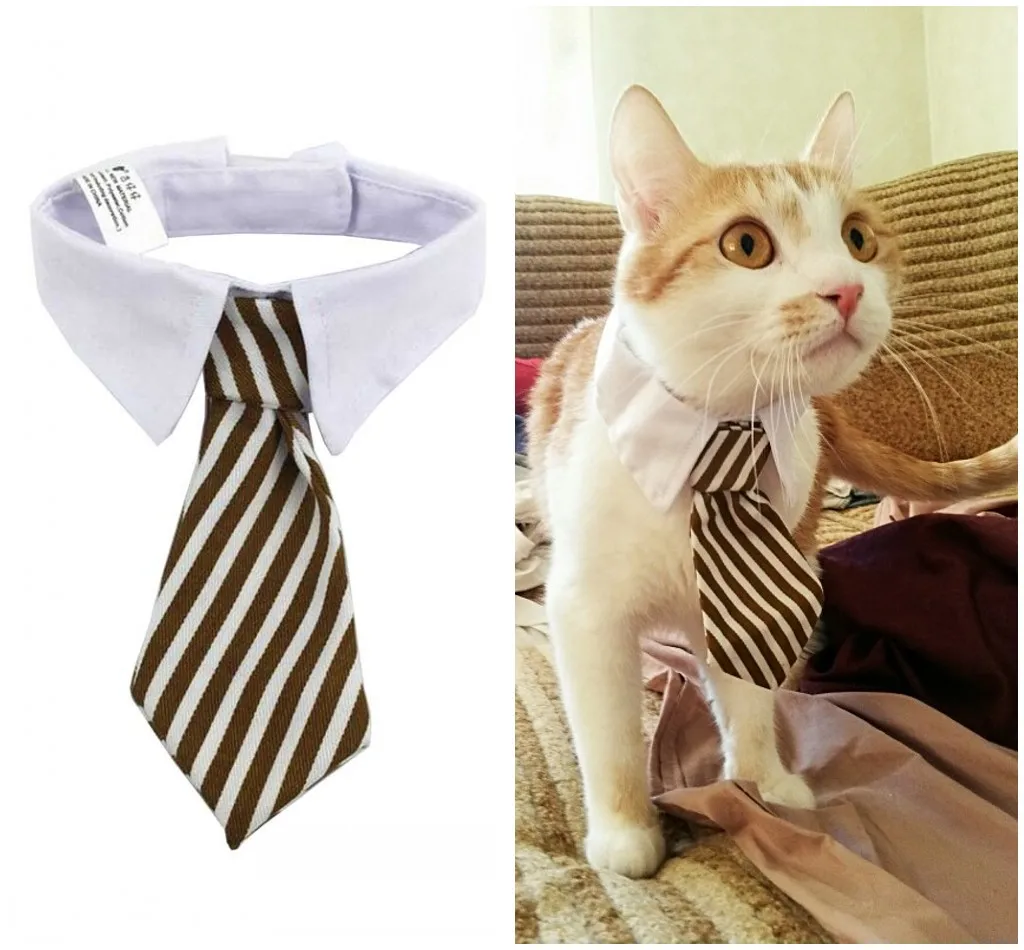 Petalk различные кошки галстук-бабочка для собаки кошка ошейник "галстук-бабочка" Кошка галстук для маленькой кошки аксессуары для домашних животных, собак S L