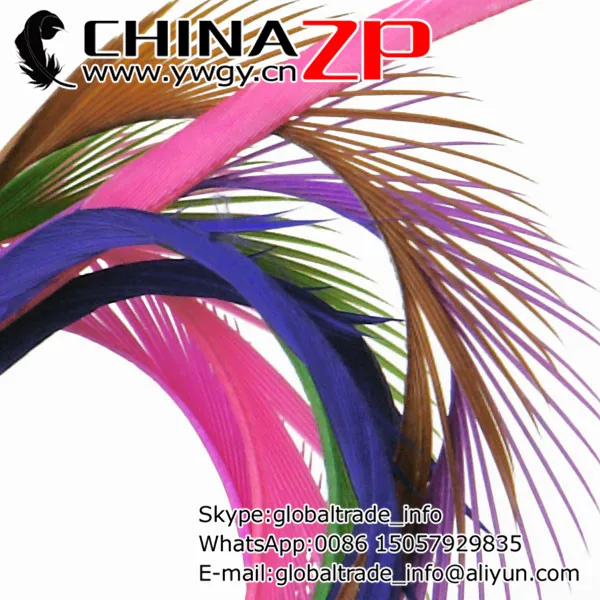 

Gold Supplier CHINAZP Factory 200pcs/lot 8'-10" Wholesale Top Quality Dyed Mix Colors Goose Biots Feathers