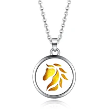 316L лошадиная голова кулон с парфюмом для ароматерапии кулон из нержавеющей стали ожерелье эфирное масло диффузный модный Шарм ювелирные изделия