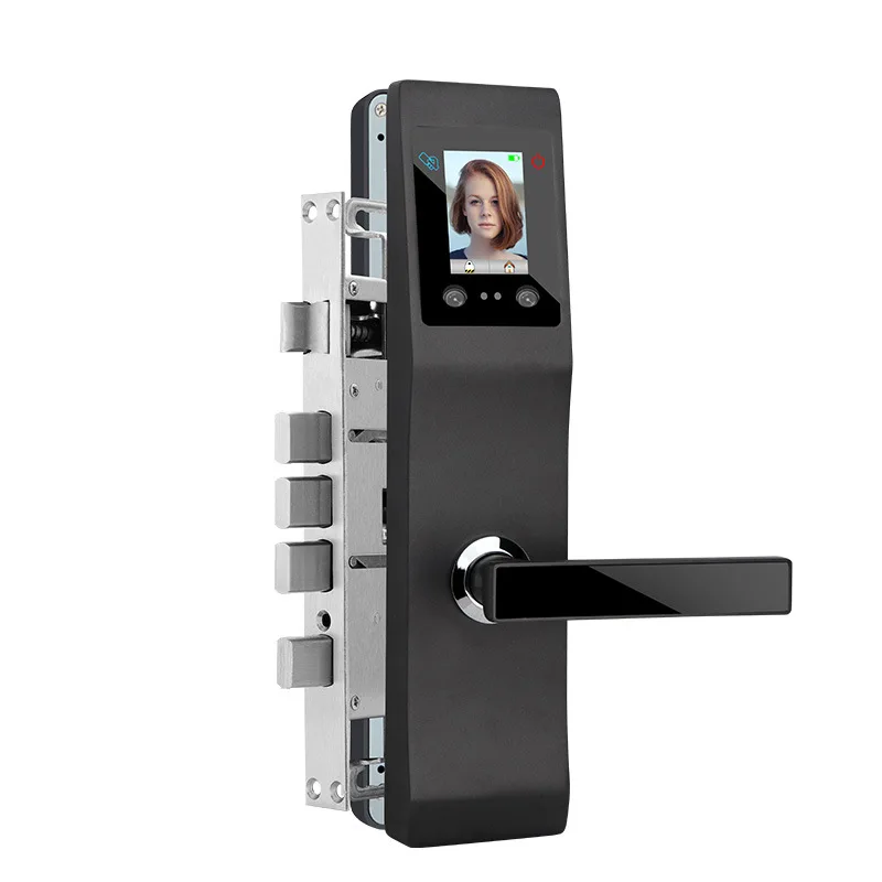 

Keyless aluminum alloy Smart Palmprint Face Facial Recognition Door Lock electric lock for home office security access control