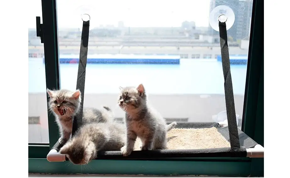 360截图20190529101728931