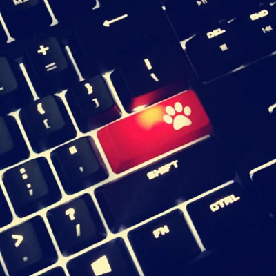 Прозрачная подсветка ABS Клавиша ввода крышка s CS GO вишневые цветы Corsair Razer Blizzard Cat