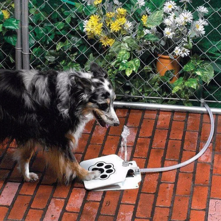 На открытом воздухе для кошки или собаки питьевой фонтан воды собачка собака разбрызгиватель обучение интеллектуальные инструмент Домашние животные питьевой воды машина