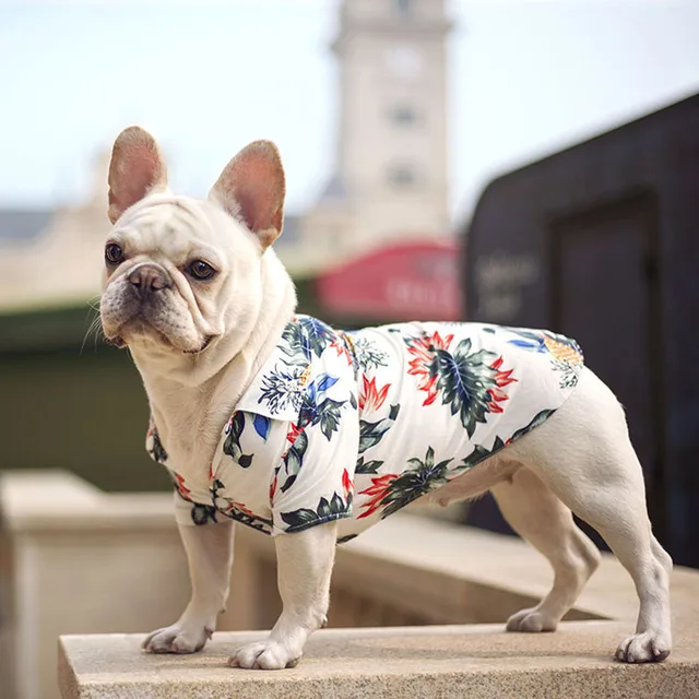 frenchie hawaiian shirt