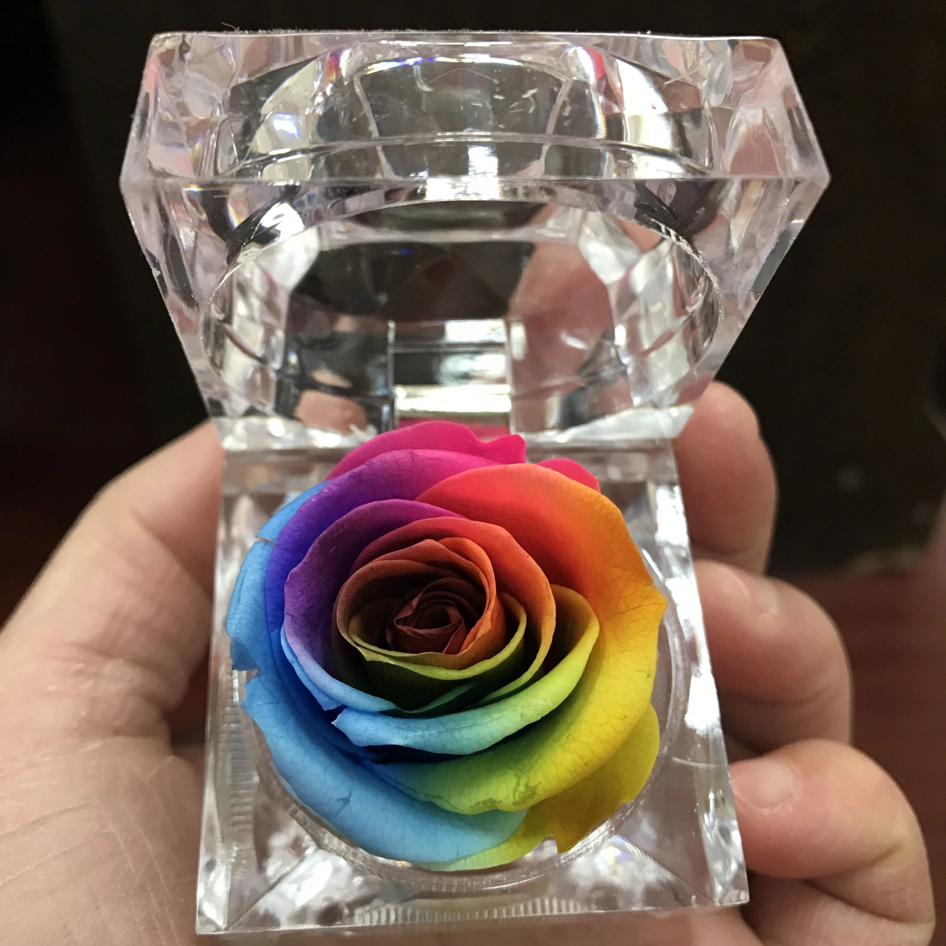 Caja De Anillo De Flor Eterna Rosa Preservada Rosas Coloridas Llavero Regalo Del Dia De San Valentin Natural Real Regalo De Navidad Rose Eternal Gift Giftsrose Rose Aliexpress