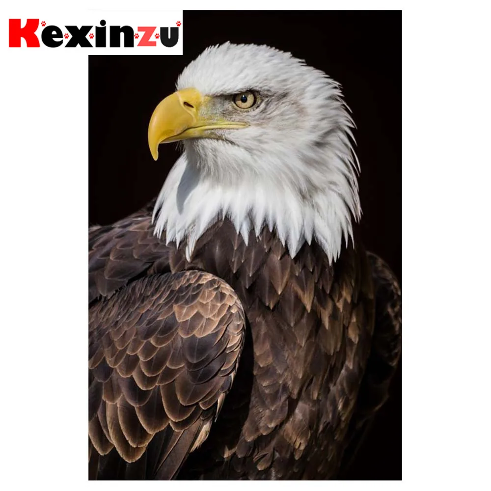 Набор для алмазной 5D вышивки Орлан kexinzu картина из квадратных/круглых страз
