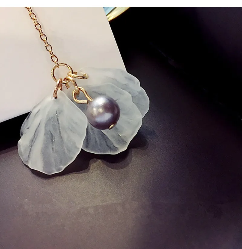 4135275102_1327870113_
