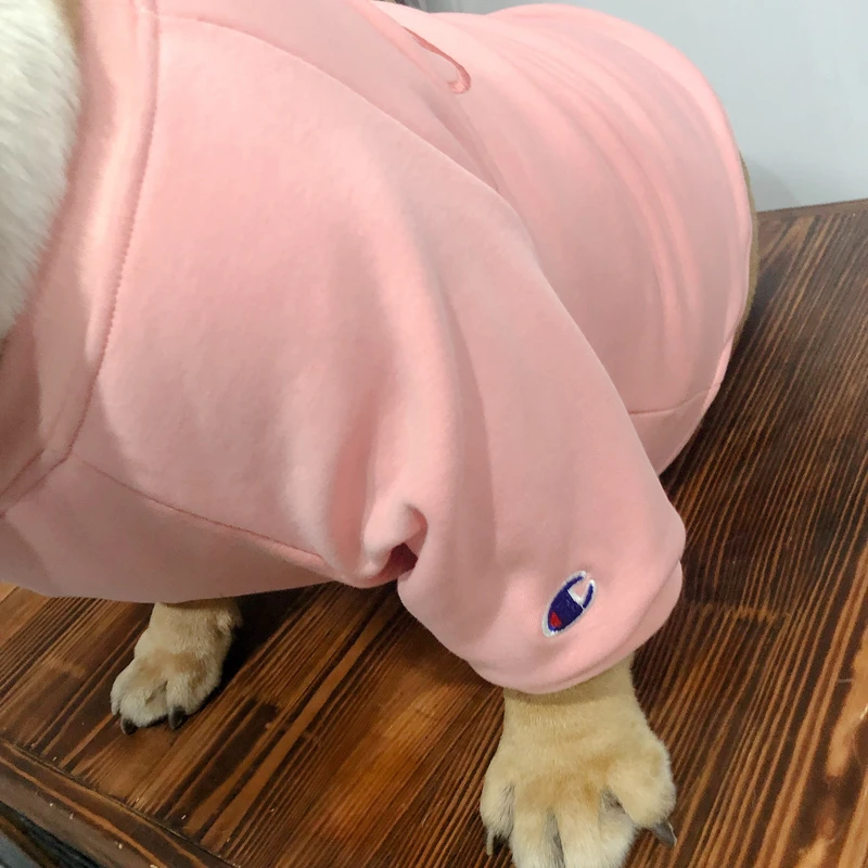 [MPK Dog Wear] свитер чемпиона для полных собак, подходит для английских бульдогов, больших грудных собак, грудь от 70 см до 85 см