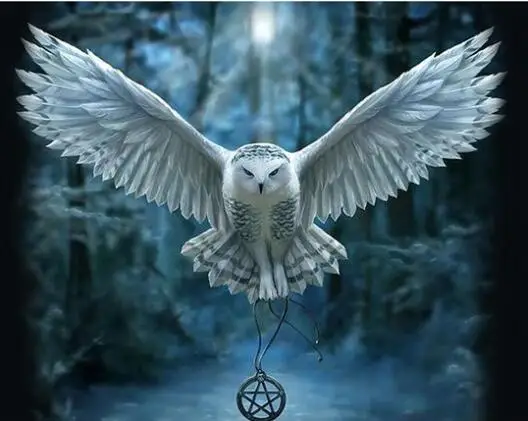 

5808 Awaken Your Magic Owl Pentagram - Paint by Numbers Kits for Adults DIY