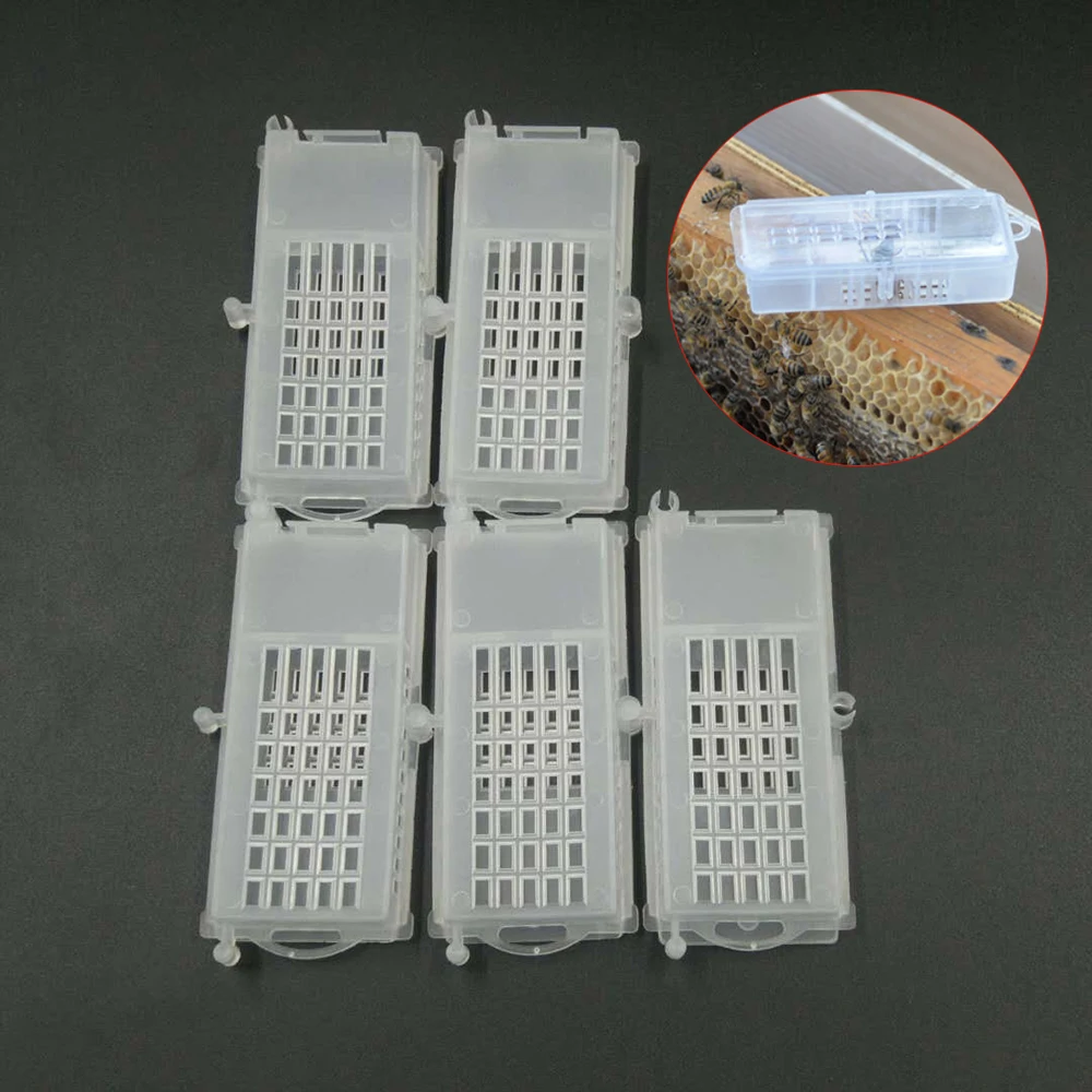 

5PCS push-pull bee cage bee king queen rearing cells cages insect equipment beehive controller Beekeeping Tools sale supplier