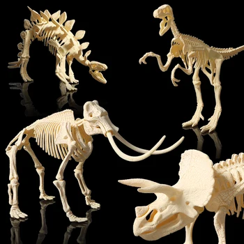 3D DIY Dinosaur Skeleton Assembled Models Toy,3D Excavation Dig kits Series Mini Triceratops/Stegosaurus/Velociraptor Puzzle Toy 1