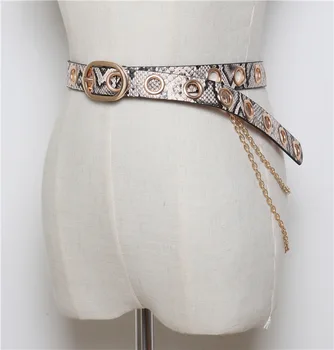 

New Metal Pin Long Buckle Belt Fashion Snake Pattern Belt Ladies Dress Decorative Belts Women Faux Leather Straps Waistband SW21