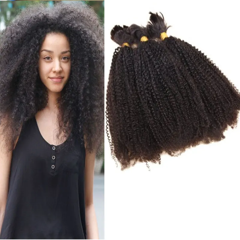 Grade A Afro Kinky Curly Brazilian Virgin Hair Human Braiding Hair Bulk For Braiding No Weft