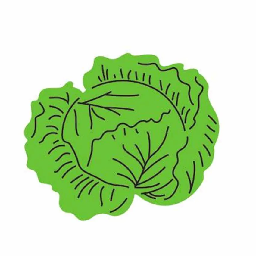 

Cabbage cutting die cutting practice hands-on DIY clip art album craft mold scrapboo