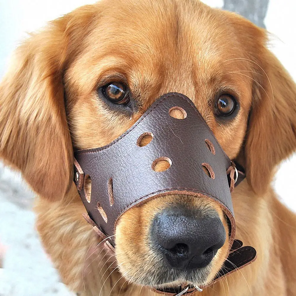 Adjustable Leather Dog Muzzle Anti Bark Bite Chew Training Pet Products|Сопла| |