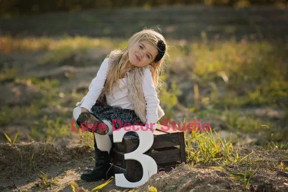 0-9 Sign Age Photo Prop - Wooden pvc  Age Numbers for Children Photos - Large Wooden pvc Numbers