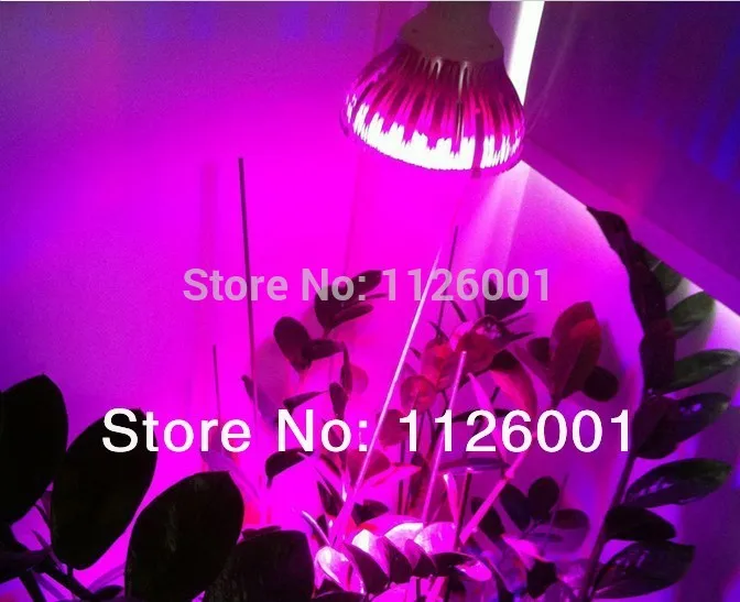 2015 New Special Offer Ce 2pcs lot Par30 font b Led b font Grow Lights With