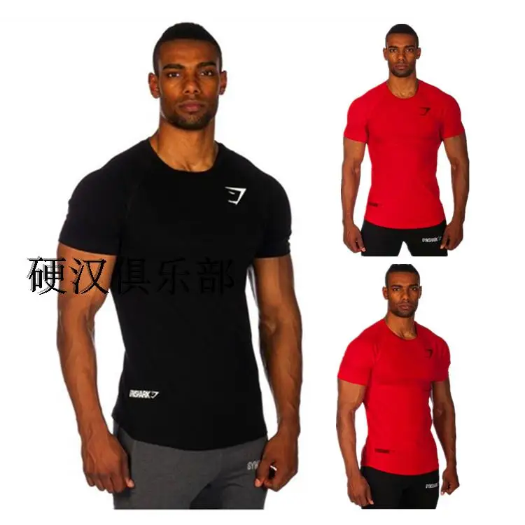 Shark male slim 100 short sleeve cotton t shirt fitness bodybuilding loose men shirts brand clothing