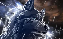 art Wolf rain night fantasy animals Home Decoration Canvas Poster