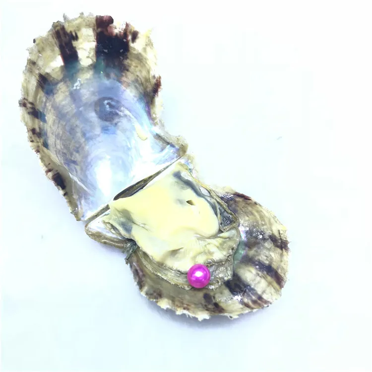 Oyster 100