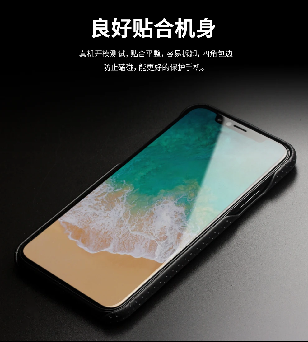 for iPhone X case Luxury (10)