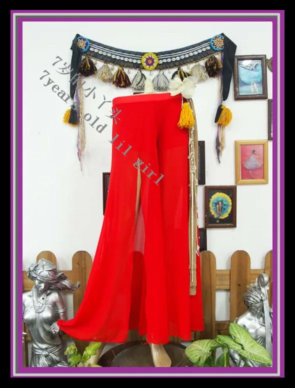

Belly dance pants Transparent thin belly dance skirt Pants CM33 with front slit