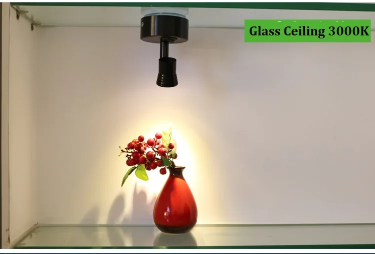 O1CN011dnjzRmquDbXhPL_!!135773781