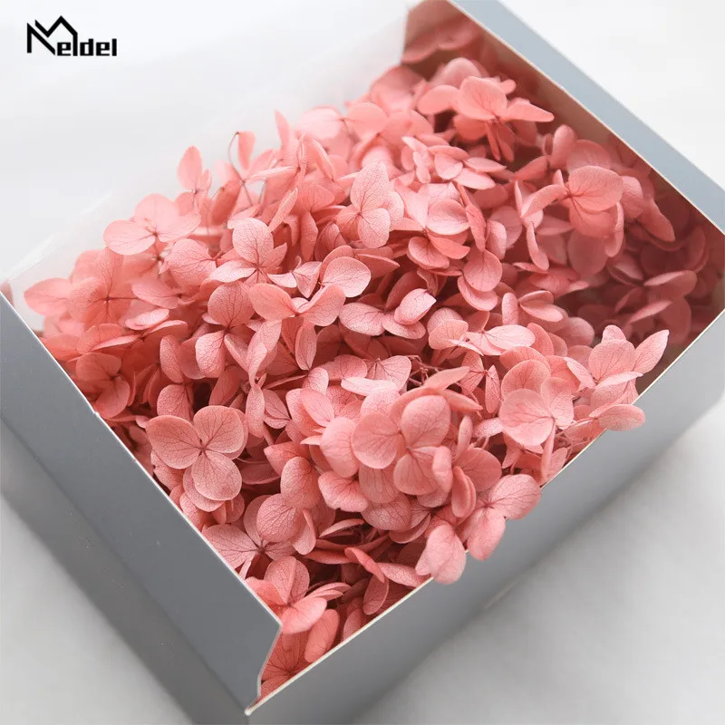 20g Preserved Hydrangea Flowers Box Natural Dried Flowers For Home Decor Artificial Flower High Quality DIY Gifts Anna Hydrangea