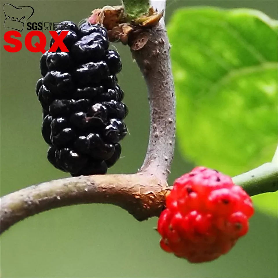 326 (3)