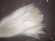 6 Hanks Best Quality 81cm unbleached Siberia White Stallion Bow hair font b horse b font