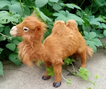 

large 32x24 cm simulation Bactrian camel toy lifelike & real fur brown camel model home decoration gift t165