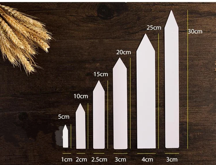 100 шт цветные пластиковые маркеры для растений суккулентные этикетки для семян растений Детские садовые бирки бонсай вставные КАРТЫ садовый инструмент