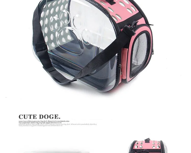 dogIMG_2459
