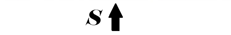 S 19