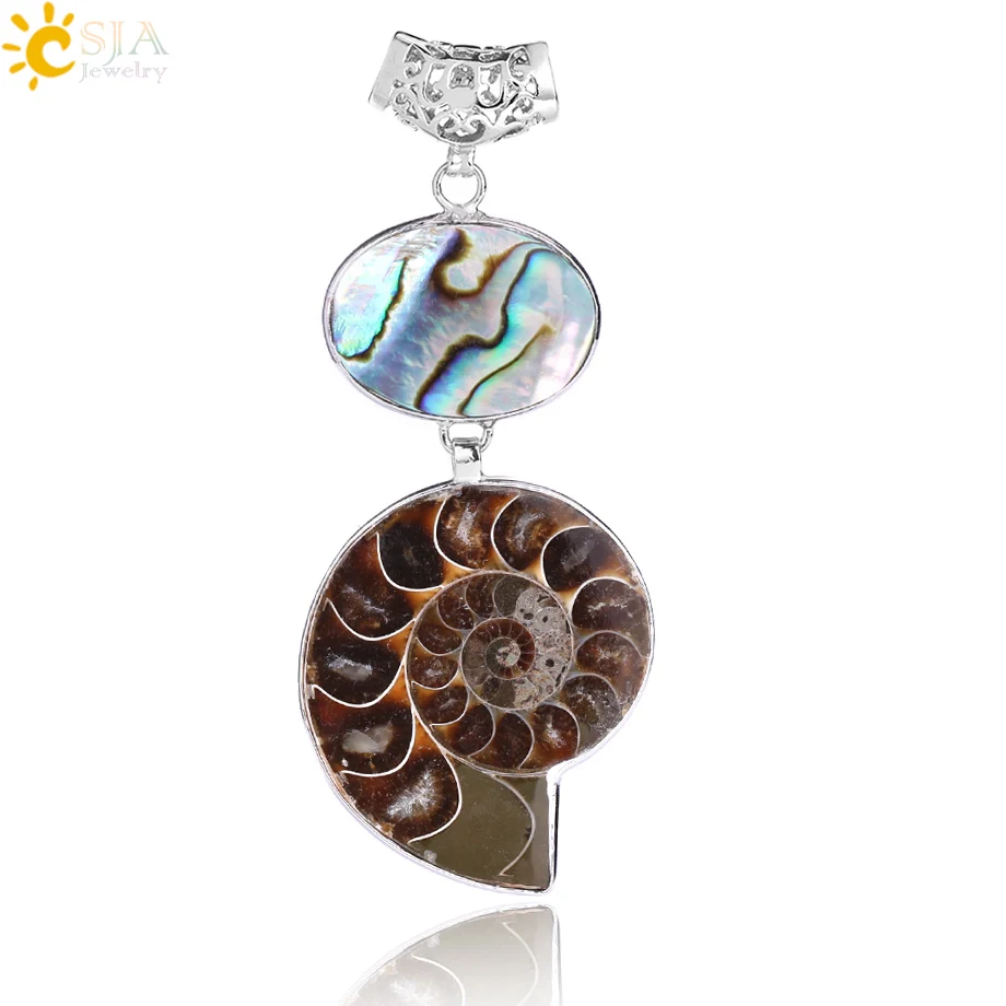 

CSJA New Zealand Natural Abalone Shell Fossils Reliquiae Animal Pendant for Necklace Sea Snail Ammonite Men Jewellery Gift E257